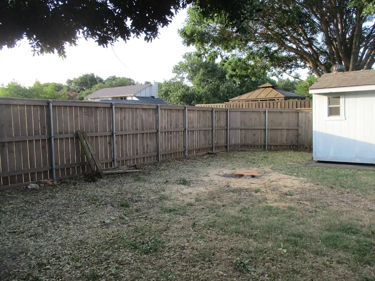 Cleared yard after professional tree removal in Cadwell